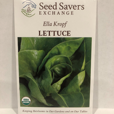 Ella Kropf Lettuce, pre 1930 Heirloom, Organic